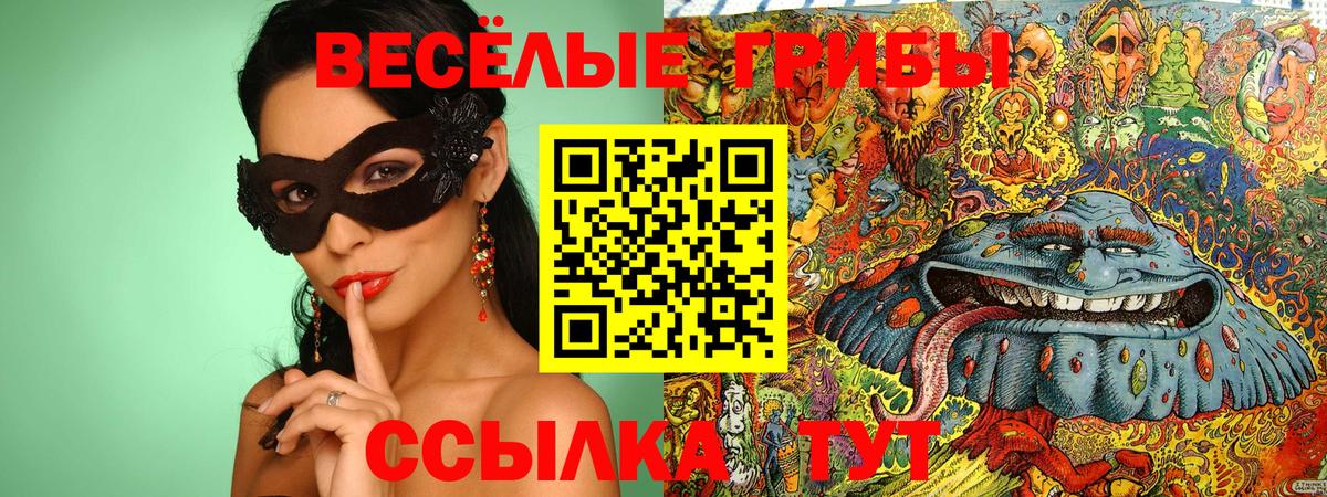 Псилоцибиновые грибы Psilocybe Миасс