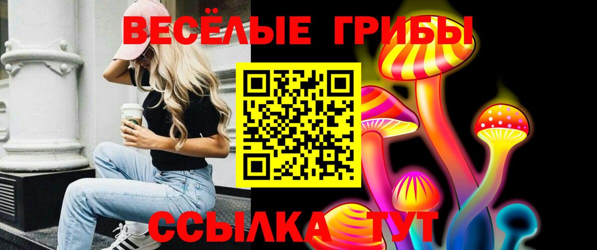 Миасс  Псилоцибиновые грибы Magic Shrooms  Псилоцибиновые грибы GOLDEN TEACHER  Вход с VPN 